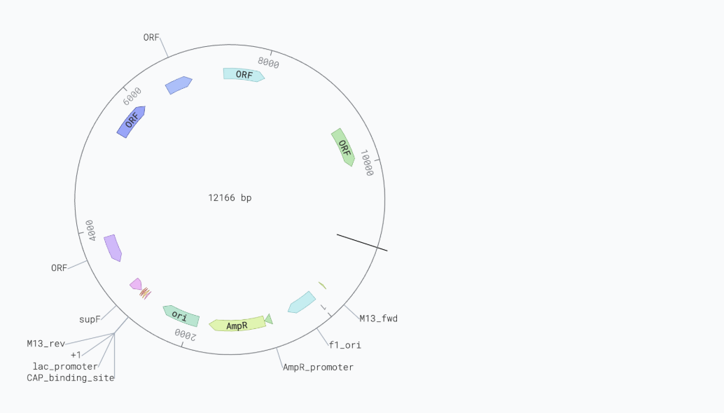 PLab Sequencing